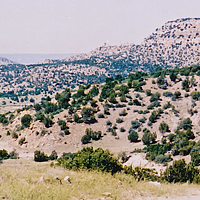 Click for larger view!